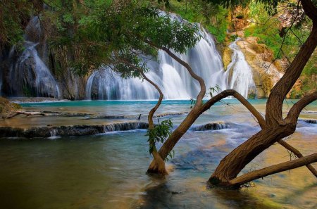 waterfall wallpaper - trees, water, rocks, falls