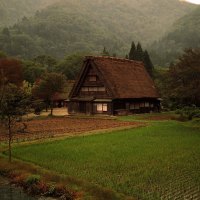 House in forest