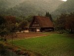 House in forest