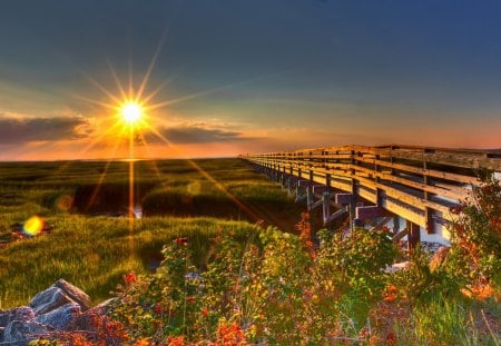 the bridge at sunset - summer, grass, flowers, glow, river, sunset, rays, plants, sun, sky, bridge