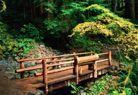 Sol-Duc-Falls-Trail-Olympic-National-Park-Washington - washington state, trail, olympic national park, sol duc falls trail olympic national park washington, washington, bridge