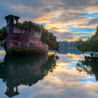 Shipwreck Trees on Sunset Waters