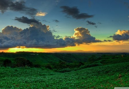 beautiful bukidnon philippines - clouds, gulch, grass, sunset