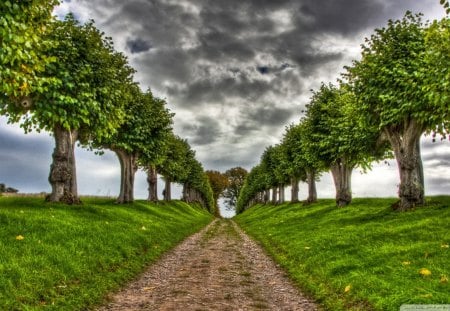 dirt road boulevard hdr - trees, road, clouds, grass