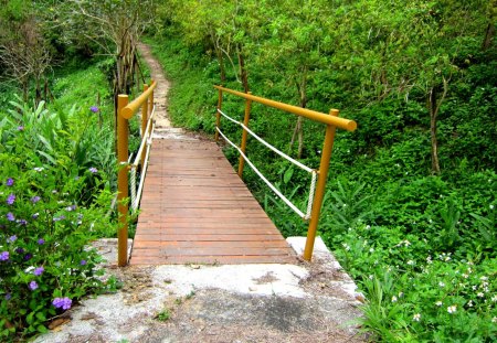 Lovely little bridge - mountain trail, flowers, lovely little bridge, forest