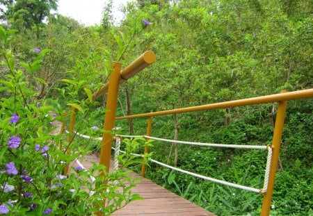 Lovely little bridge - flowers, mountain trail, forest, lovely little bridge