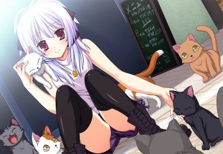 Sayuki Kurobane - kitty, cats, anime, sayuki kurobane, anime girl, fortissimo