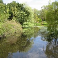 Botanics Edinburgh