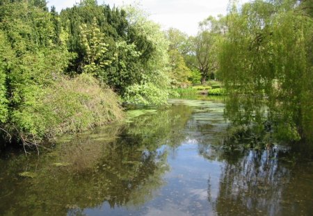 Botanics Edinburgh - lakes, trees, botanical, gardens