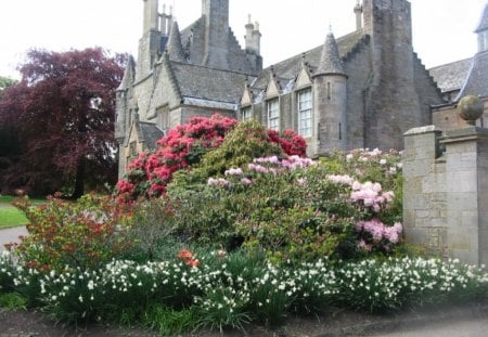 Lauriston Castle - plants, edinburgh, castle, grounds