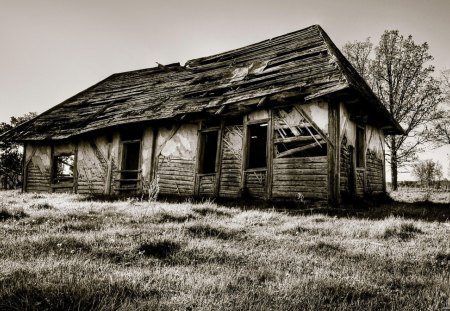 Scary House - scary, landscape, black and white, black, fantasy, white, nature, art, dark, house