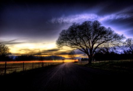 Poetry in Life - sky, purple, water, clouds, light, tree, sun