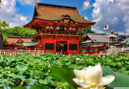 lotuses at iga hachiman shrine japan - lotuses, clouds, shrine, pool