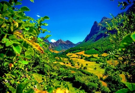 Green mountain - summer, pretty, greenery, beautiful, slope, hills, blue sky, sky, mountainscape, nice, lovely, trees, nature, mountain, green