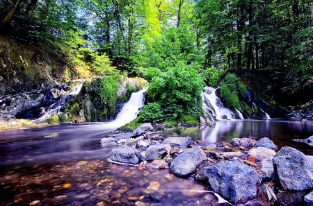 FOREST CASCADES - forest, nature, rocks, cascade