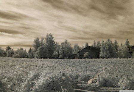 farms in monochrome - fields, farms, trees, clouds