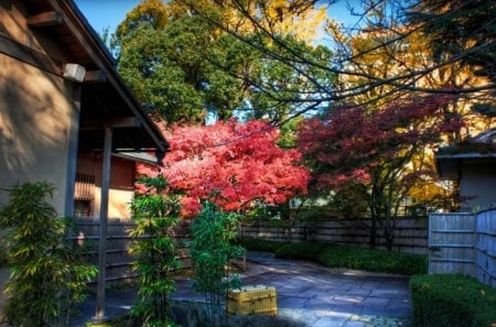 momiji behind tea house hdr - hdr, bushes, backyard, trees