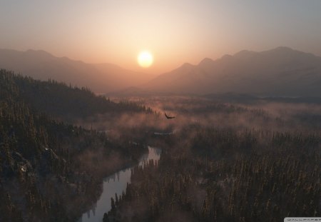 eagle flying in the mist - eagle, forest, mountains, river, mist