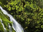 CACHOEIRA