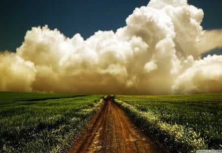 road to heaven hdr - fields, road, wheat, clouds