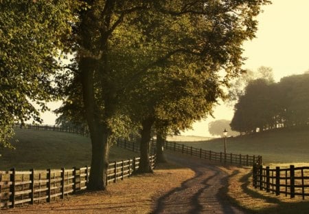 ENTRADA DA MINHA LINDA FAZENDA - terra, arvores, campo, natureza, cerca