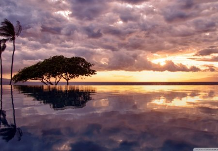 pool, sea and sky as one - trees, clouds, sunset, pool, sea