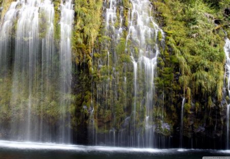 Thin Flowing Waterfalls - day, daylight, water, waterfalls, moss, bushes, nature, white, forest, flowing, river, green, rock, brush