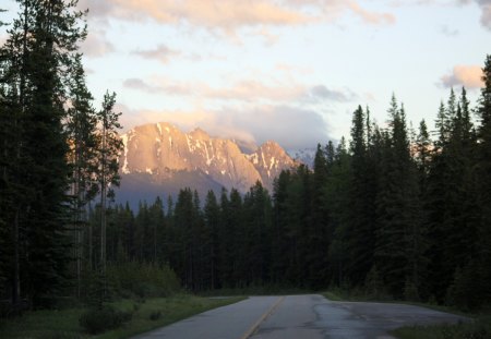 The sublime of the mountains at Banff Alberta - trees, forests, photography, green, mountains, road