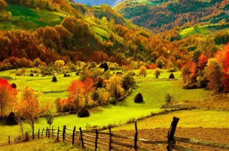 trees and mountains - mountains, trees, fence, grass