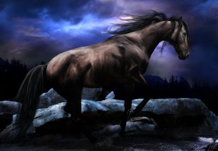 black horse - black, rock, blue sky, night, horse