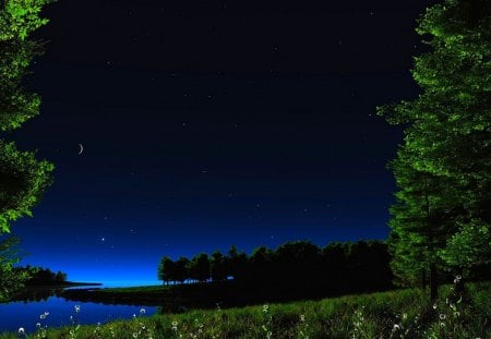 STARRY NIGHT - moon, water, pond, herbs, landscape, grass, night, stars, flowers, daisies, river, nature, plants, lake, sky