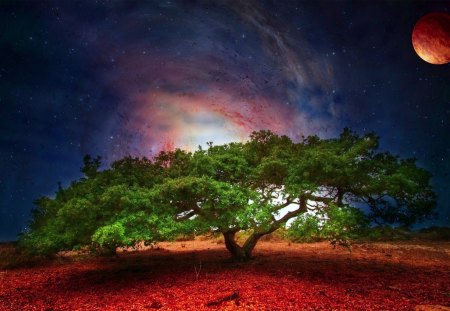 BEAUTIFUL GALAXY - planet, earth, galaxy, tree, sky