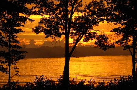 Sunset - beautiful, grass, golden sunset, view, river, golden, tree, nature, sunset, water, landscape, beauty, peaceful, lake, sky, clouds, lovely, splendor, trees