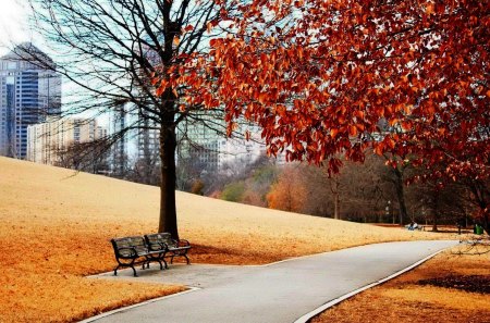 AUTUMN PARK - autumn, trees, park, bench, buildings