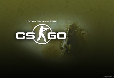 counter strike global offensive