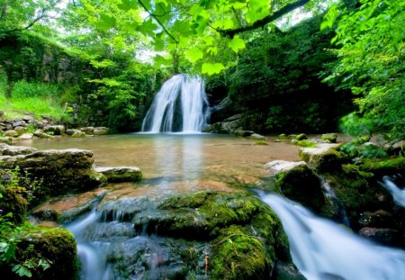 FOREST FALLS - cascade, falls, forest, pool