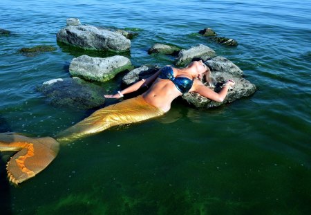 SUN BATHING MERMAID - mermaid, summer, sunbath, girl, sexy