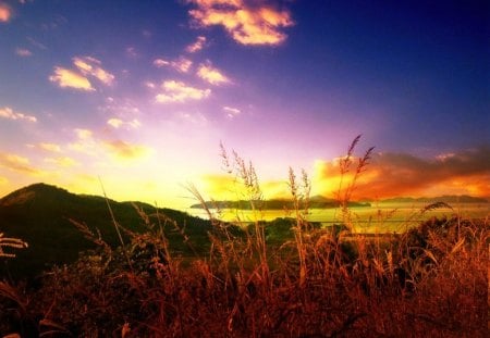 Light in the Field - clouds, sunlight, landscape, sun, sky