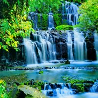 Forest waterfall