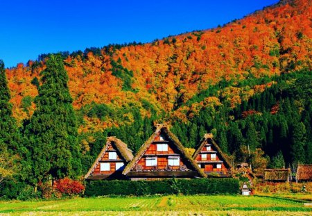 Mountain houses - slope, sky, houses, mountain, colorful, countryside, summer, field, meadow, nature, clouds, rest