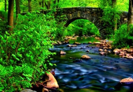 Forest bridge - nice, trees, stream, greenery, creek, calm, pretty, river, green, grass, bridge, fresh, summer, lovely, bushes, nature, forest, beautiful, floating, stones