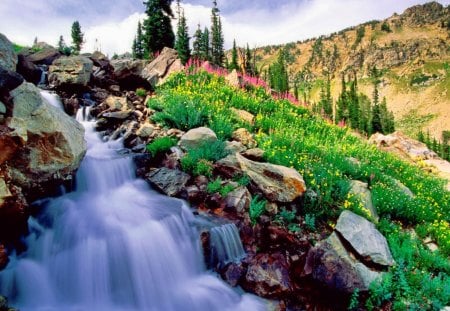 Mountain scenery - sky, falling, mountain, stream, summer, slopes, nature, fall, clouds, scenery, green, stones, grass