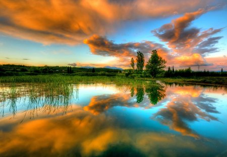 LAKE in REFLECTION - clouds, trees, water, lake, spring, reflection, sky