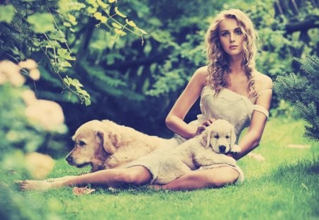 Dogs - cute, dogs, woman, animals