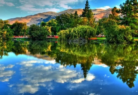 Reflection - lake, trees, reflection, mountains