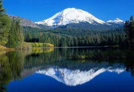 reflection - lake, forest, reflection, mountain