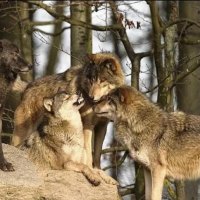 Let Me See If You Brushed Your Teeth