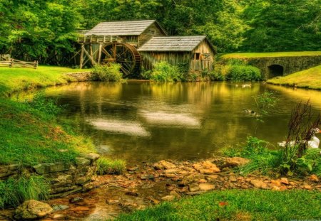 Forest scene - duck, nature, mill, lake, fence, tree, bridge