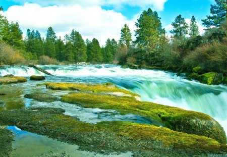 Riffles in forest - river, water, nature, tree