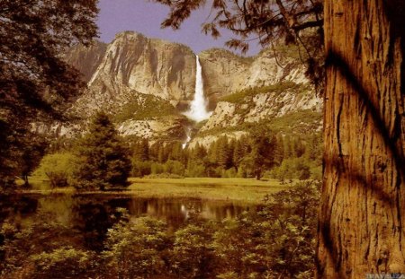 Little wattrefalls - nature, peace, waterfalls, tree, grass